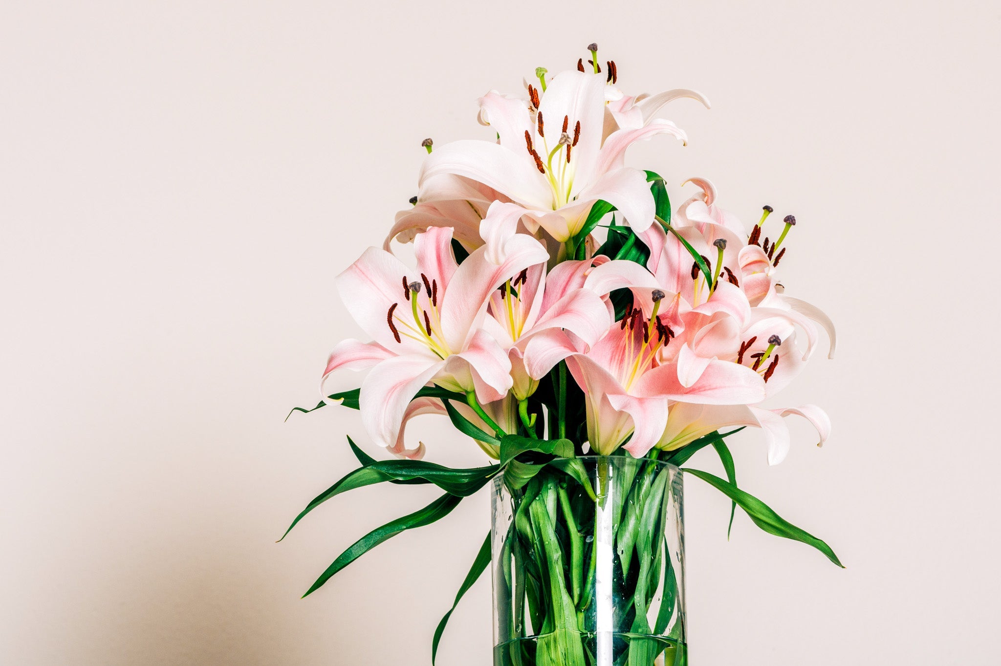 Lilies Bouquet