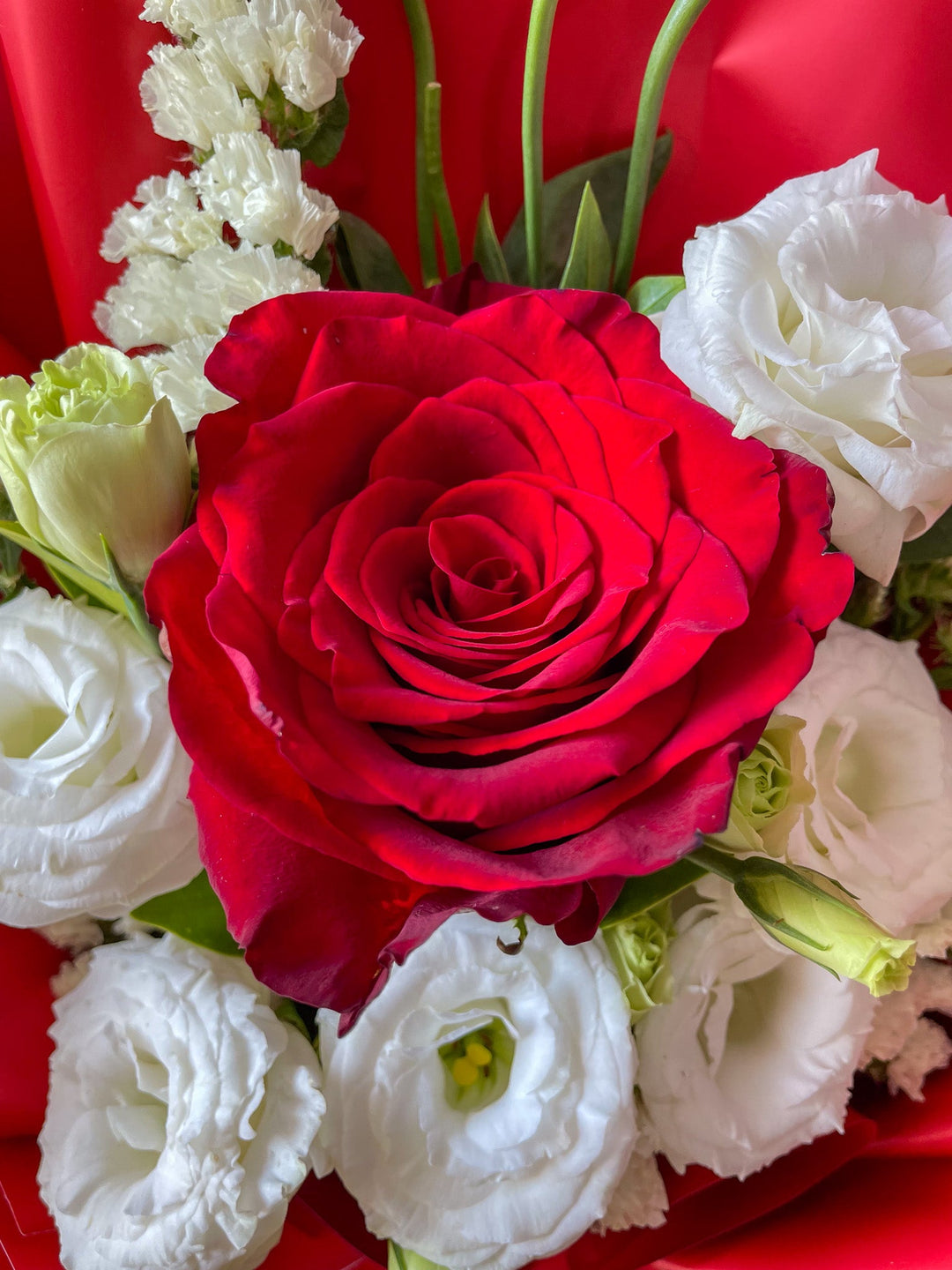 One in a Million Equadorian Rose - FlowerRushPH